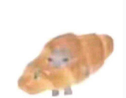 小黑